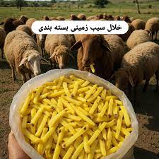 تفاله تر سیب زمینی بسته بندی
